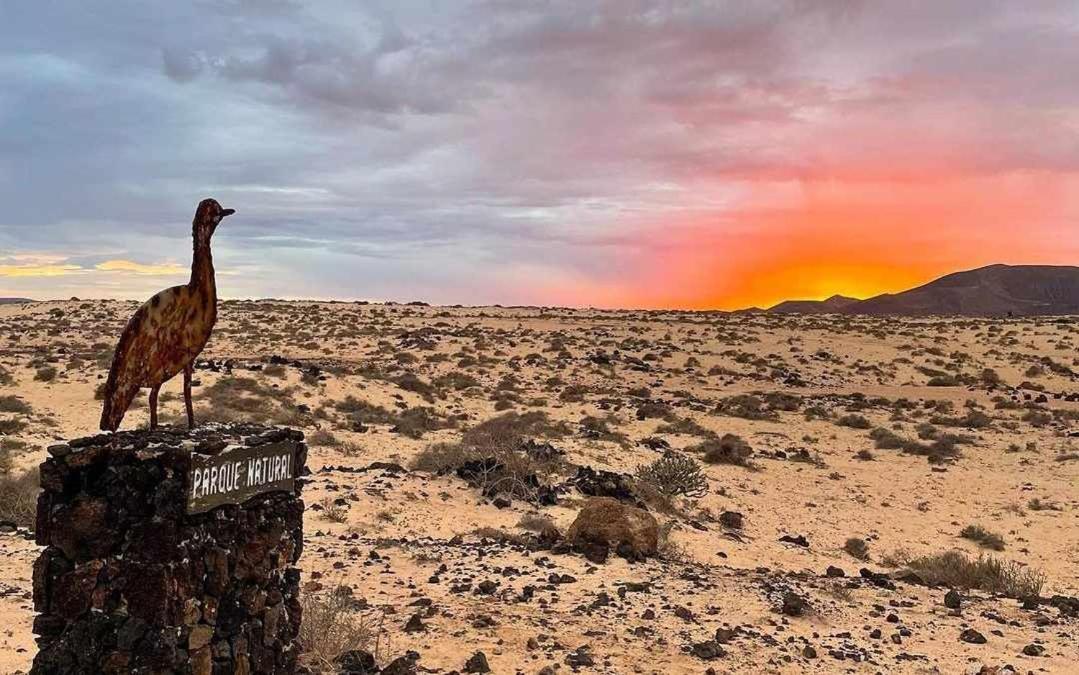Villa Sea Sounds Corralejo Eksteriør bilde